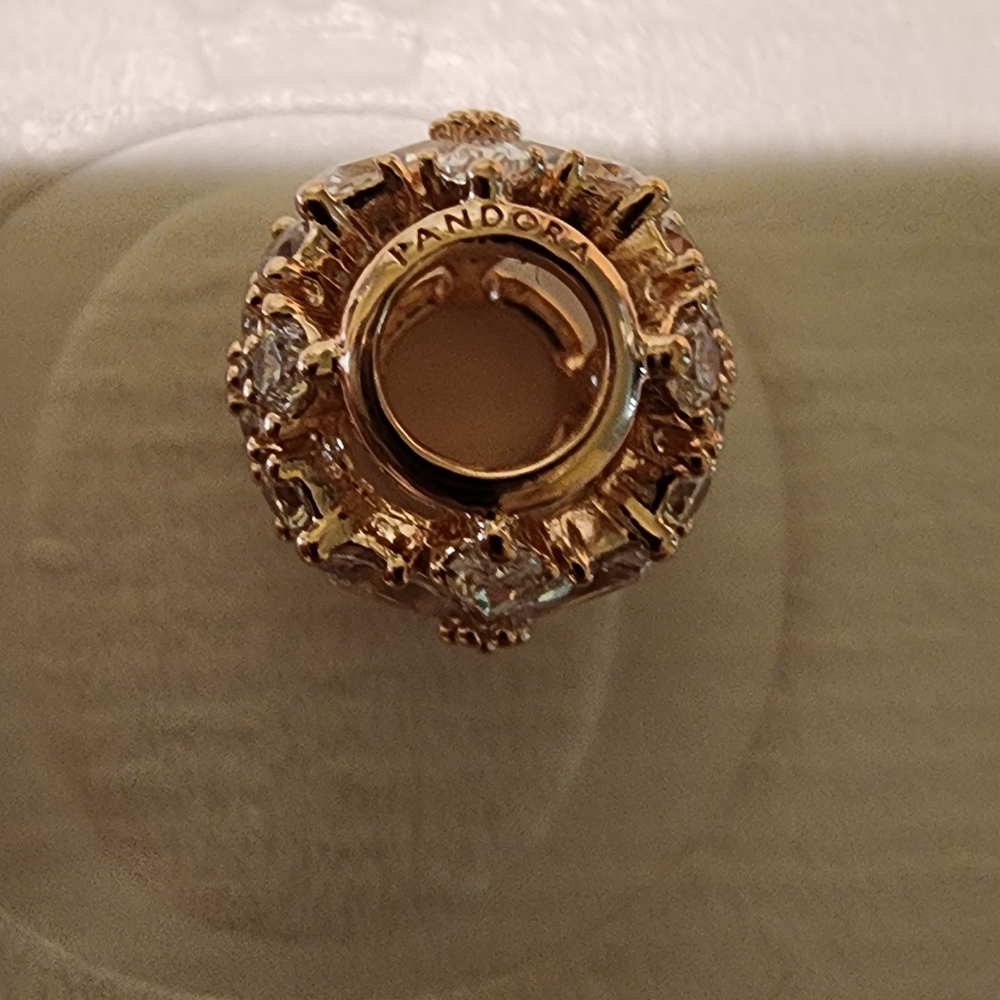 Pandora Sparkling Herbarium Cluster Round Charm - Picture 15 of 15